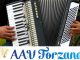 accordeonvereniging