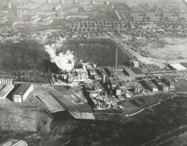 Ketjen met daarachter het Vliegenbos
