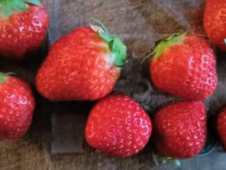 Hollandse aardbeien