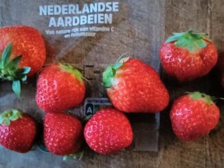 Hollandse aardbeien
